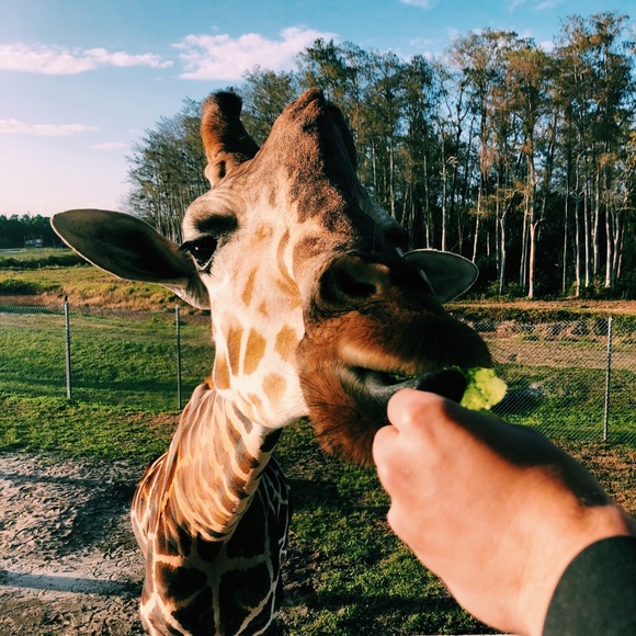 Meet your Posher, Jamie - Picture 1 of 1